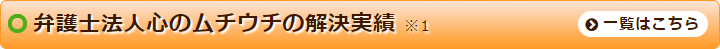 弁護士法人心における解決実績